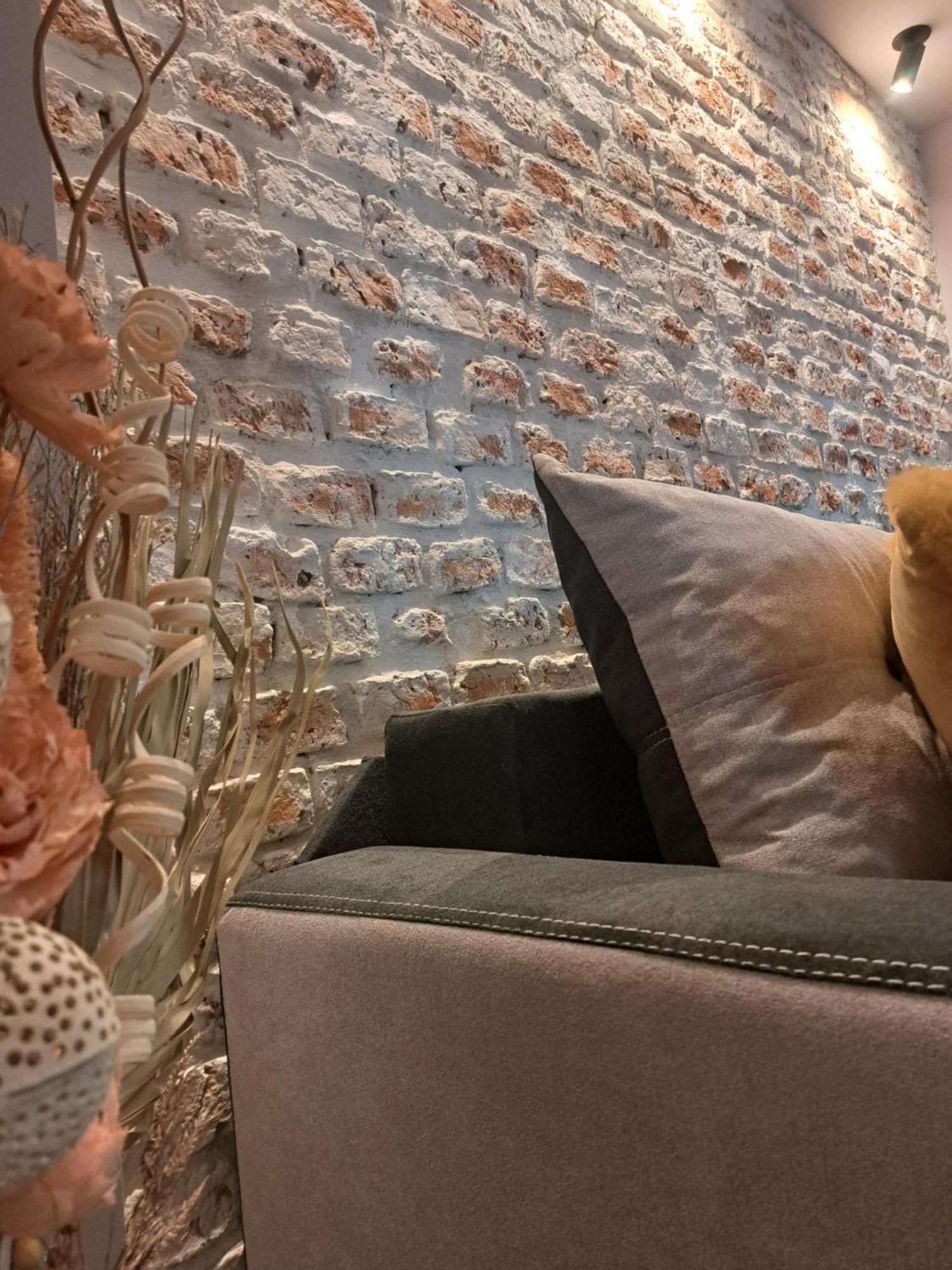 Апартаменты Casa Ileana Centrul Vechi Брашов Экстерьер фото