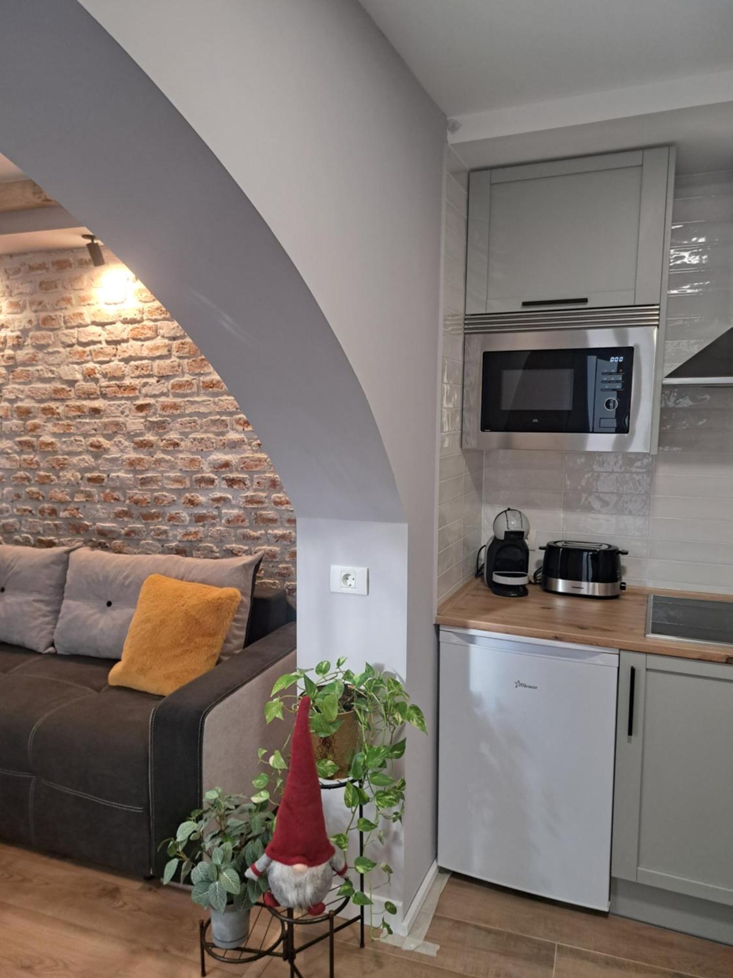Апартаменты Casa Ileana Centrul Vechi Брашов Экстерьер фото